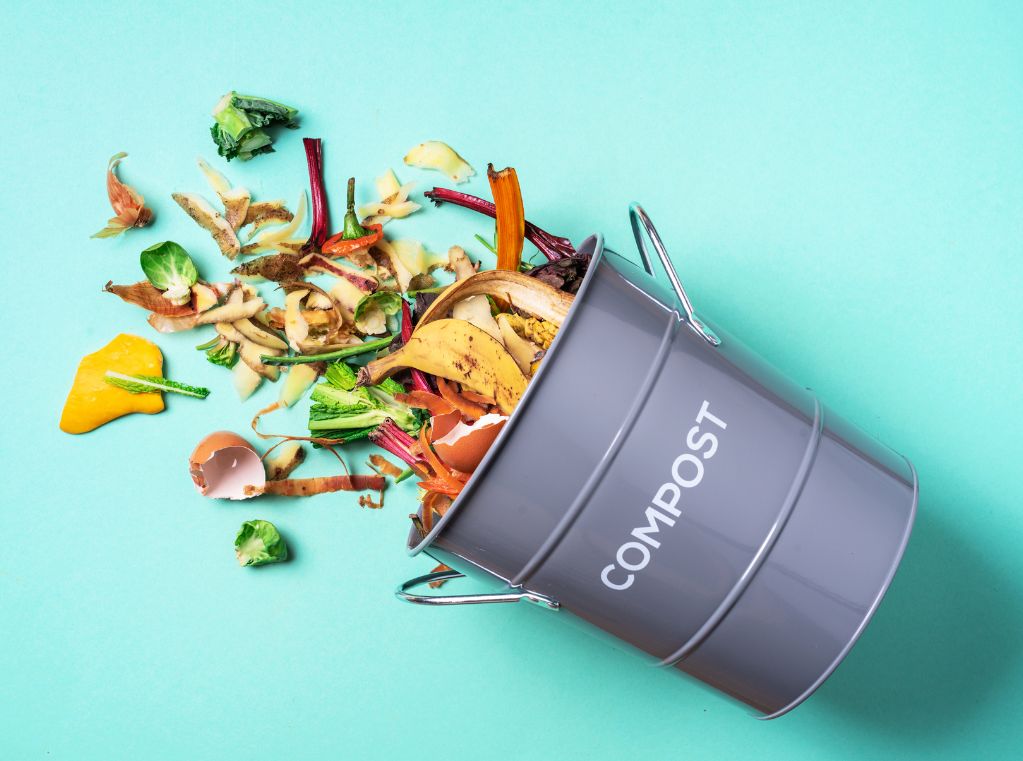 Le compost, un geste pour un avenir durable à portée de main